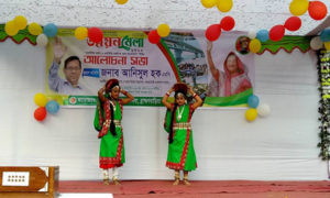 Unnayan mela in kasba