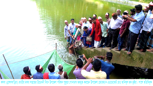 কসবায় জাতীয় মৎস্য সপ্তাহের উদ্বোধনী দিনে র‌্যালী, পোনামাছ অবমুক্তকরন ও আলোচনা সভা