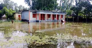 পানিতে ভাসছে আড়াই লাখ শিক্ষার্থীর পড়ালেখা