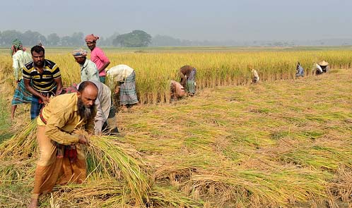 মন্ত্রিসভায় নতুন কৃষি নীতি অনুমোদন