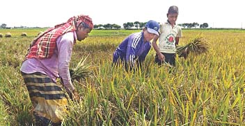 কৃষক ও কৃষিখাত নিয়ে উদ্বেগ গণসংহতি আন্দোলনের