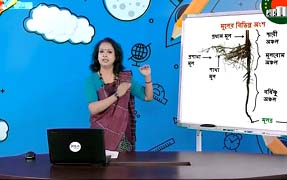 শিক্ষক সংগঠন ও সরকারের উদ্দেশে সবিনয় নিবেদন