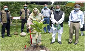 ১ কোটি গাছের চারা রোপণ কর্মসূচির উদ্বোধন করেছেন প্রধানমন্ত্রী…শেখ হাসিনা