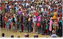 ‘রোহিঙ্গা সমস্যা সমাধানের কোনো উদ্যোগ পরিলক্ষিত হচ্ছে না’