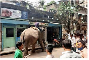 ‘‘চাঁদাবাজি না করে ধূপখোলা মাঠে হাতির খেলা দেখালেই পারে’’