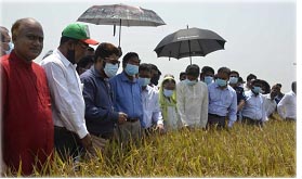 দ্রুততার সাথে ধান কাটার জন্য অগ্রাধিকার ভিত্তিতে কৃষিযন্ত্র বিতরণ করছে সরকার