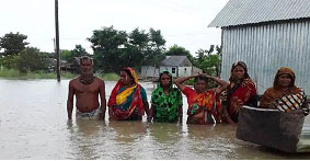 শ্যালো মেশিনের শব্দ পেলেই নামছেন কোমর পানিতে