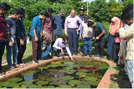 একটি ব্যাঙ কৃষকের প্রায় ৮ কোটি টাকার ফসল বাঁচায়!