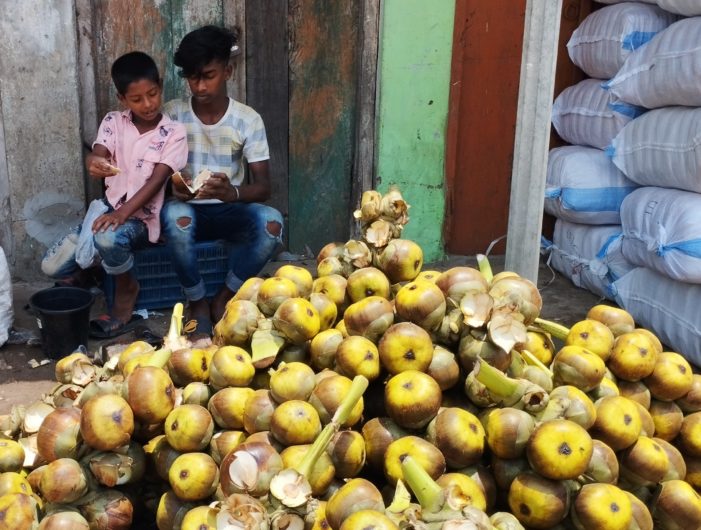 কসবা মধু মাসের সুস্বাদু তালের শাঁস বিক্রি হচ্ছে