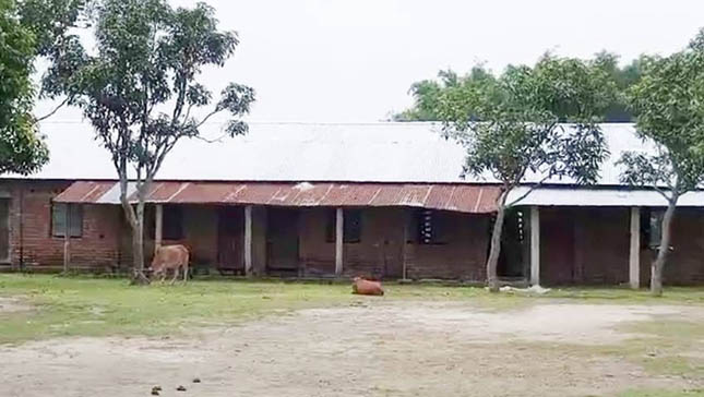 স্কুল বিল্ডিং জরাজীর্ণ হলেও বন্ধ হয়নি নিয়োগ বাণিজ্য