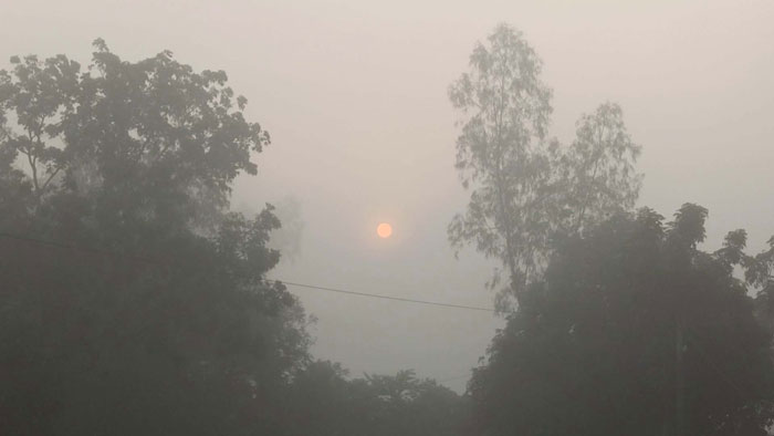 ঠাকুরগাঁওয়ে ভোরের শিশির ভেজা ঘাস জানান দিচ্ছে শীতের আগমনী