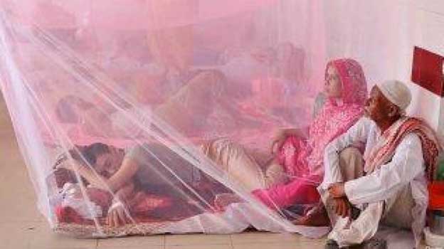 ডেঙ্গুতে একদিনে ৪৬ জন হাসপাতালে ভর্তি, করোনায় সংক্রমিত ৬