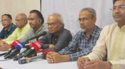 মব ভায়োলেন্স, চাঁদাবাজদের বৈচিত্র্যময় বিন্যাস: বিএনপি