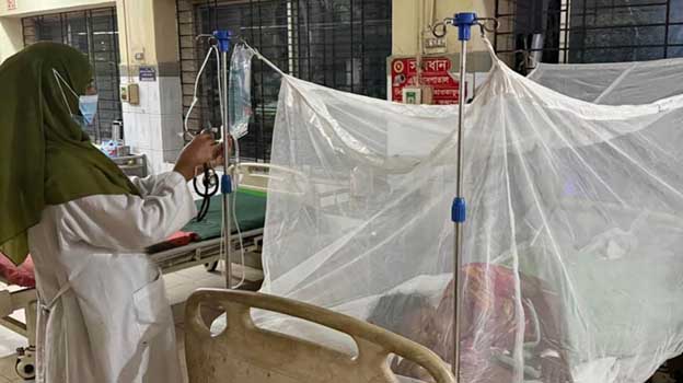 দাউদকান্দিতে ডেঙ্গু, আক্রান্তের হিসাবে গরমিল, দিশেহারা মানুষ