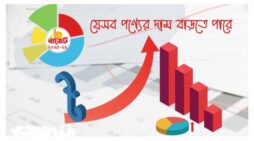 যেসব পণ্যের দাম বাড়তে পারে আর কমতে পারে যেসব পণ্যের দাম