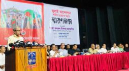 ফেব্রুয়ারিতে নির্বাচন ঠেকাতে ষড়যন্ত্র হচ্ছে, অভিযোগ মির্জা ফখরুলের