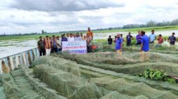 ঠাকুরগাঁওয়ে অবৈধ জাল পুড়িয়ে দিলো প্রশাসন