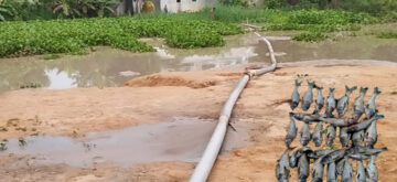কসবায় জোরপূর্বক ড্রেজারের পানিদিয়ে পুকুরের ১৬ লক্ষ টাকার মাছ মারার অভিযোগ