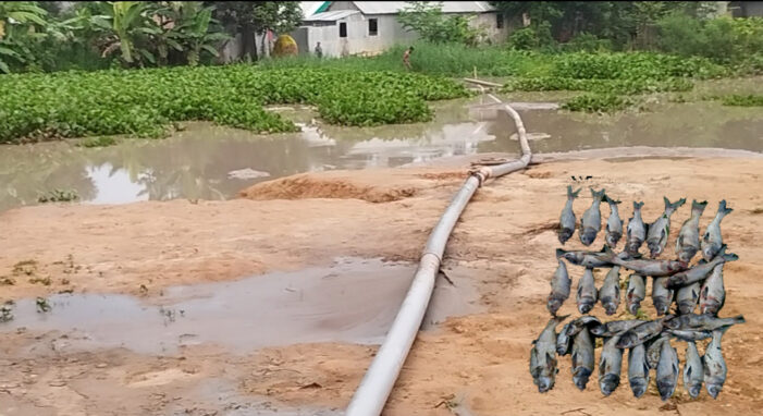 কসবায় জোরপূর্বক ড্রেজারের পানিদিয়ে পুকুরের ১৬ লক্ষ টাকার মাছ মারার অভিযোগ
