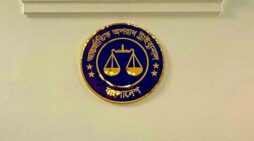 আন্দোলনকারীদের ‘রাজাকারের নাতিপুতি’ বলেননি শেখহাসিনা: রাষ্ট্রনিযুক্ত আইনজীবী