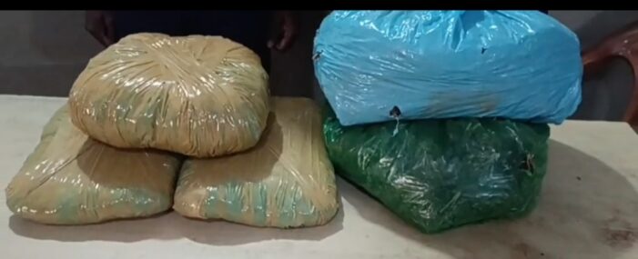 কসবায় ১৪ কেজি গাজা উদ্ধার,গ্রেপ্তার -২ 