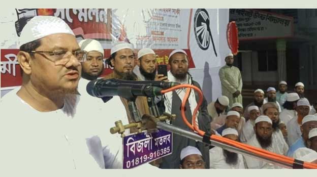 একদিনে গণভোট ও জাতীয় নির্বাচন তামাশার শামিল: চরমোনাই পীর