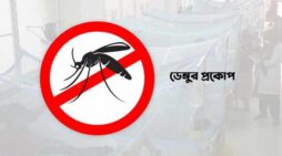২৪ ঘণ্টায় ডেংগুতে আক্রান্ত ২৪০আর মৃত্যু ১