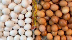 বাংলাদেশসহ মোট ৪০ দেশ থেকে ডিম আমদানি নিষিদ্ধ করলো সৌদি আরব