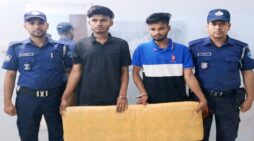 কসবায় ১২কেজি গাঁজাসহ ২ কারবারি আটক