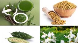 চৈত্র সংক্রান্তিতে কেন তিতা খাবেন