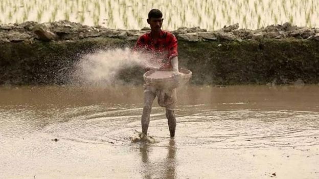 মৌসুমের প্রয়োজনীয় সার সরকারের কাছে নেই: শিল্প সচিব