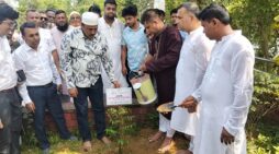 কসবা কুল্লাপাথর শহীদ সমাধিস্থলে বৃক্ষরোপণ কর্মসূচি পালন