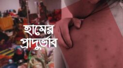 হামে থামছেনা মৃত্যুর মিছিল, নিরব সরকার কী করছে…