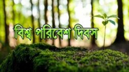 বিশ্ব পরিবেশ দিবস উদযাপন