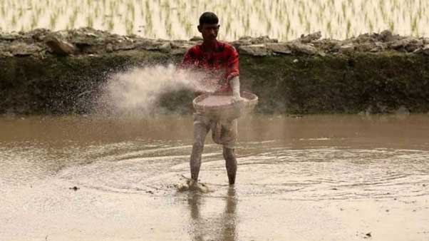 ৭ লাখ কৃষকের ৬০৪কোটি টাকার কৃষিঋণ মওকুফ