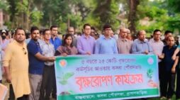 কসবায় ৭টি শিক্ষা প্রতিষ্ঠানে ৫শতাধিক গাছের চারা বিতরণ