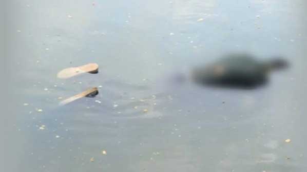 ধানমন্ডি লেক থেকে ভাসমান লাশ উদ্ধার